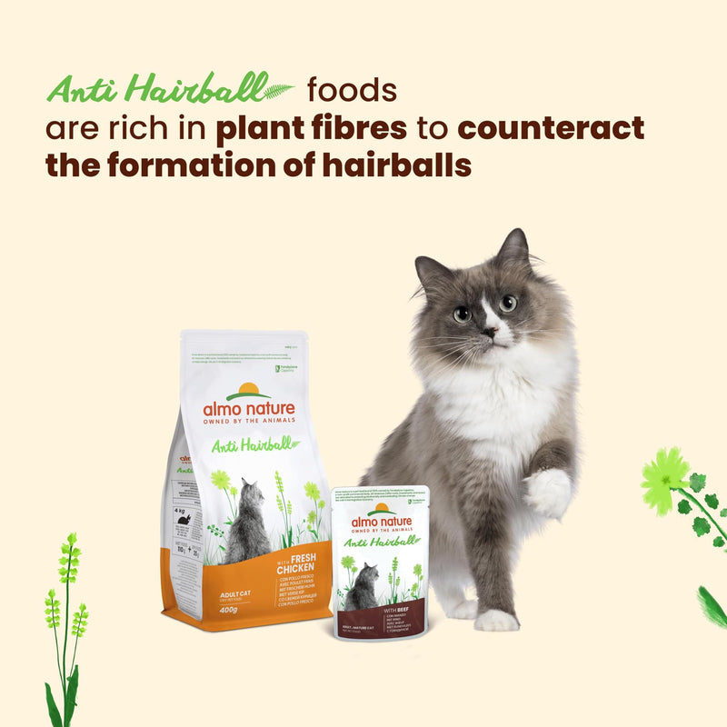 Almo Nature Functional Anti Hairball Wet Cat Food with Beef 70g 2.1 kg (Pack of 1)