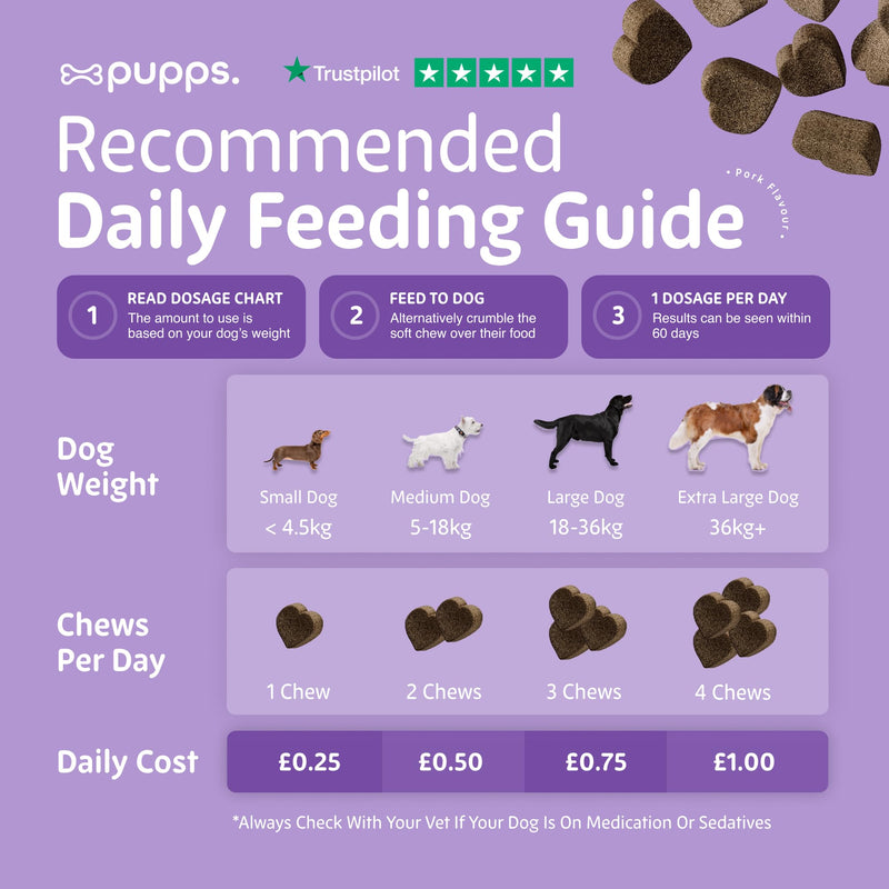 Pupps Calming Dog Treats – 120 Natural Anxiety & Stress Relief Chews | Vet Approved with Hemp, Chamomile & Valerian | Helps Reduce Barking, Separation Anxiety & Hyperactivity | UK Made for All Breeds 120 x Chews