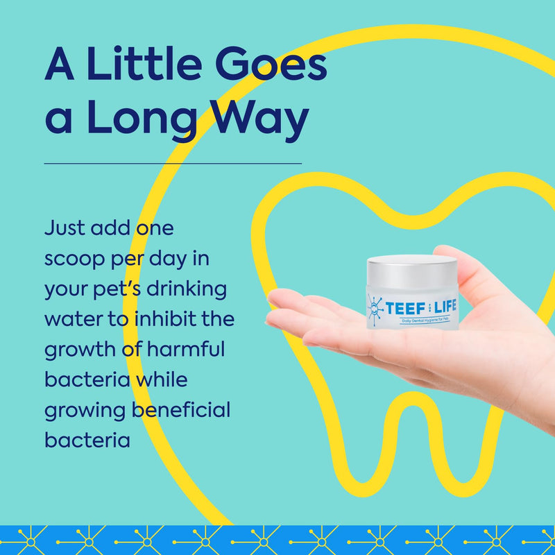 TEEF FOR LIFE Refill Packet Protektin30 Prebiotic Dental Powder for Cats, Plant-derived, clinically-Proven Formula Naturally Fights Bad Breath, Plaque, and Tartar, 1 Packet with 30 Servings Refill Packet (30 Servings)