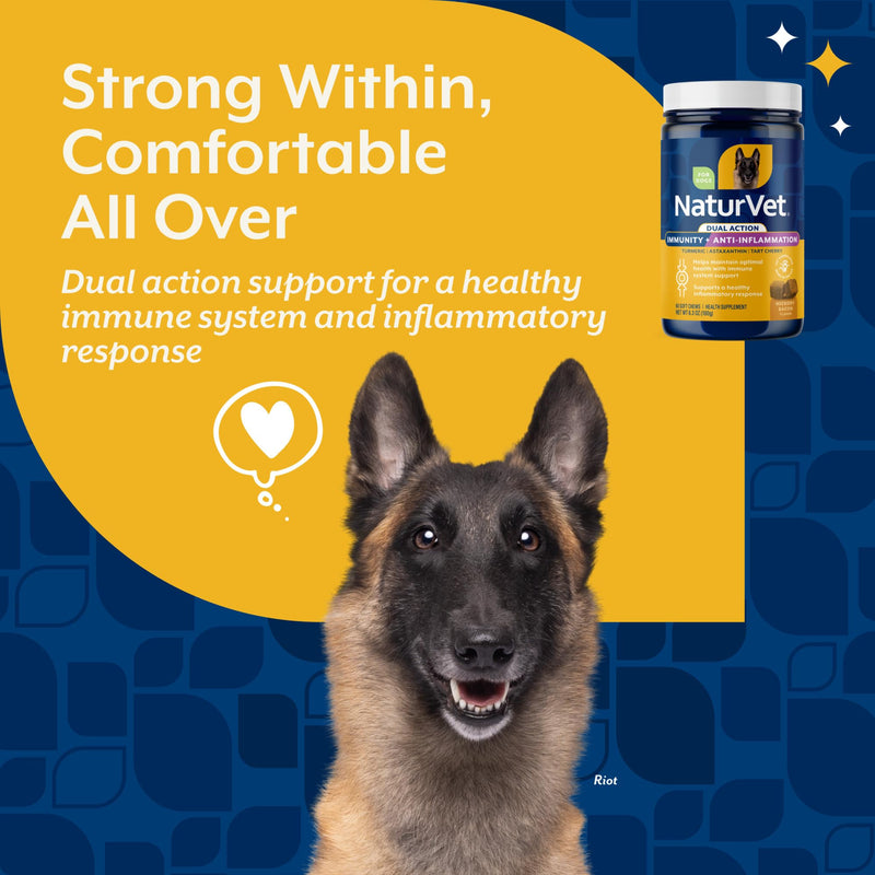 NaturVet Immunity + Anti-Inflammation Dual Action Supplements for Dogs, Helps Support Immune Response & Joint Comfort with Turmeric, Tart Cherry, Vitamin C, D, & Zinc, 60 Hickory Bacon Soft Chews