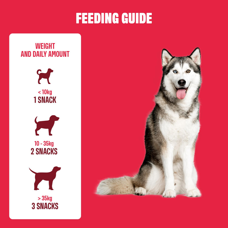 ivvi Allergy for Dogs - Against Allergies & Itching and Strengthening the Immune System - 60 Delicious Snacks (270 g) with Salmon