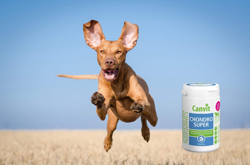Canvit Chondro Super Glucosamine Hip And Joint Regeneration Supplement For Stiff Young Or Older Large Dogs in Pain With Hip Dysplasia, Arthritis, For Dogs Over 20 Kg (Chondro Super, 76 Tablets)