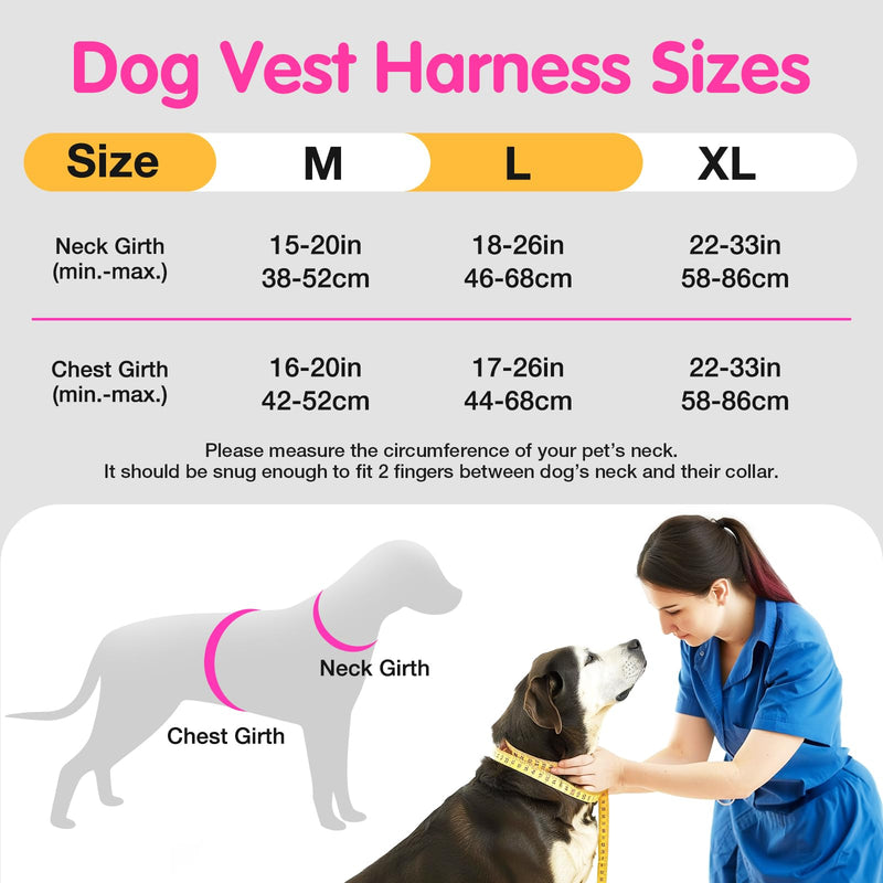 Jewyow Luminous Dog Harness, Rechargeable LED Dog Harness, LED Harness for Dogs with Soft Handle, 3 Adjustable Modes, Waterproof for Medium, Large Dogs, Pink-L Pink L - BeesActive Australia