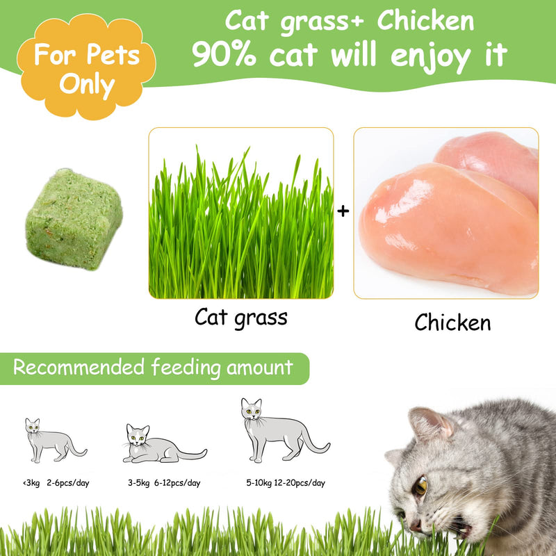 120g Cat Snacks Catnip, Freeze Dried Cat Treat for Teeth Cleaning