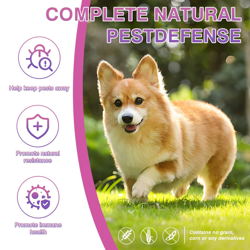 Flea and Tick Prevention Chewable for Dogs Fleas Ticks Treatment Dog Oral Chewables Support Supplement Breeds and Ages Dogs 200 Treatment Chews Natural Soft Chew Chicken - BeesActive Australia