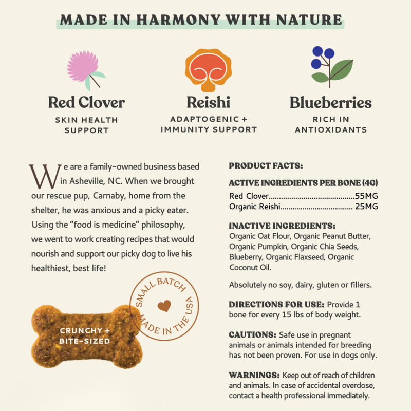 Flower Power Healthy Dog Treats - Mushroom Supplement Chews for Dogs with Reishi Mushroom & Antioxidants - Vet Formulated Vegan Peanut Butter Treats, 2 Pack Flower Power 4 Ounce (Pack of 2)