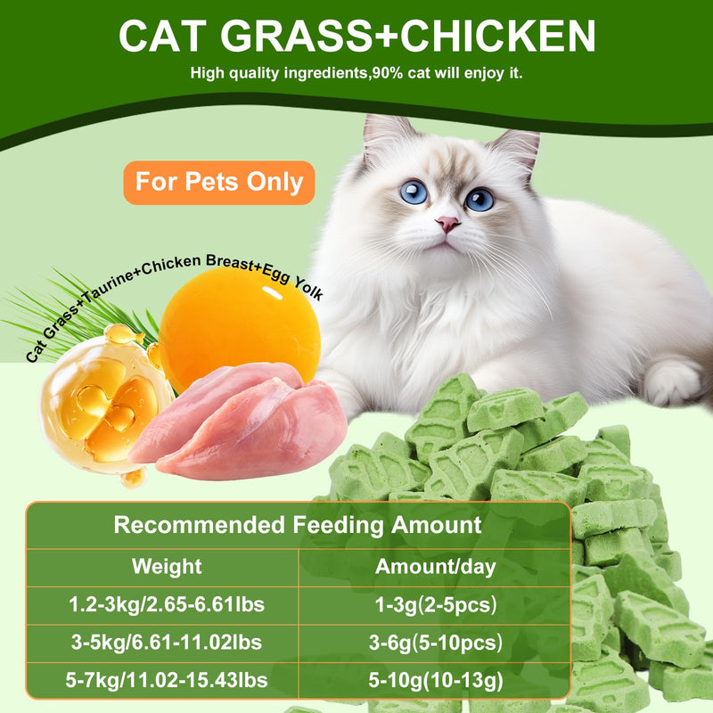 90g Cat Grass for Indoor Cats, Cat Grass Treats, Natural Freeze Dried Kitty Treats, Hairball Treatment for Cats, Edible Kitty Chew Toy Snack for Teething Hairball Removal 3.17 Ounce (Pack of 1)