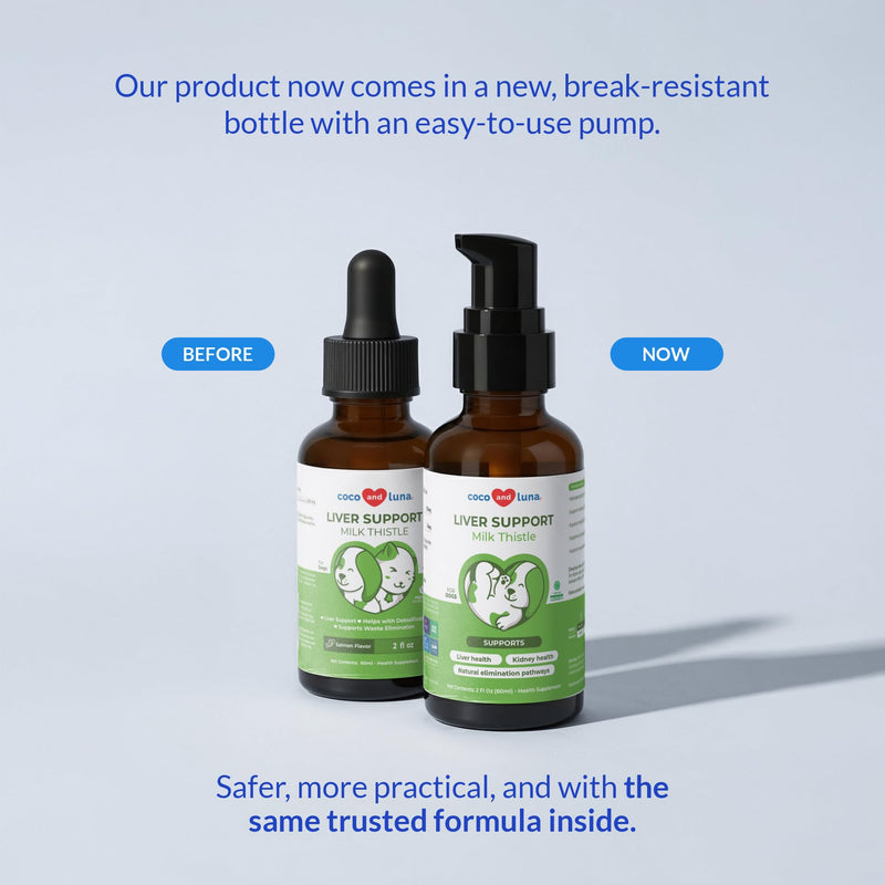 Milk Thistle Liquid for Dogs - Liver, Kidney & Detox Support | Liquid Milk Thistle with Choline & L-Arginine. Supports liver detox, kidney function & hepatic health with EPA & DHA. Liquid for Cats