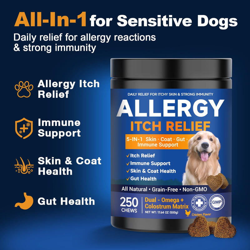Dog Allergy Chews,is Omega 3 Human,Anti Itch Relief for Dogs Itching Skin Relief and Aller Immune Pet Multivitamin Allergy Chews Coat Licking Supplement Pills Meds Treats 250 Bites for Dogs 2 g/capsule 250pcs