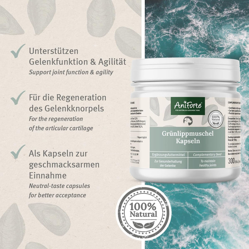 AniForte green-lipped mussel capsules for dogs, pack of 300 - green-lipped mussel dog, joint tablets with green-lipped mussel powder in full-fat quality 10.2%, for joints and agility - BeesActive Australia