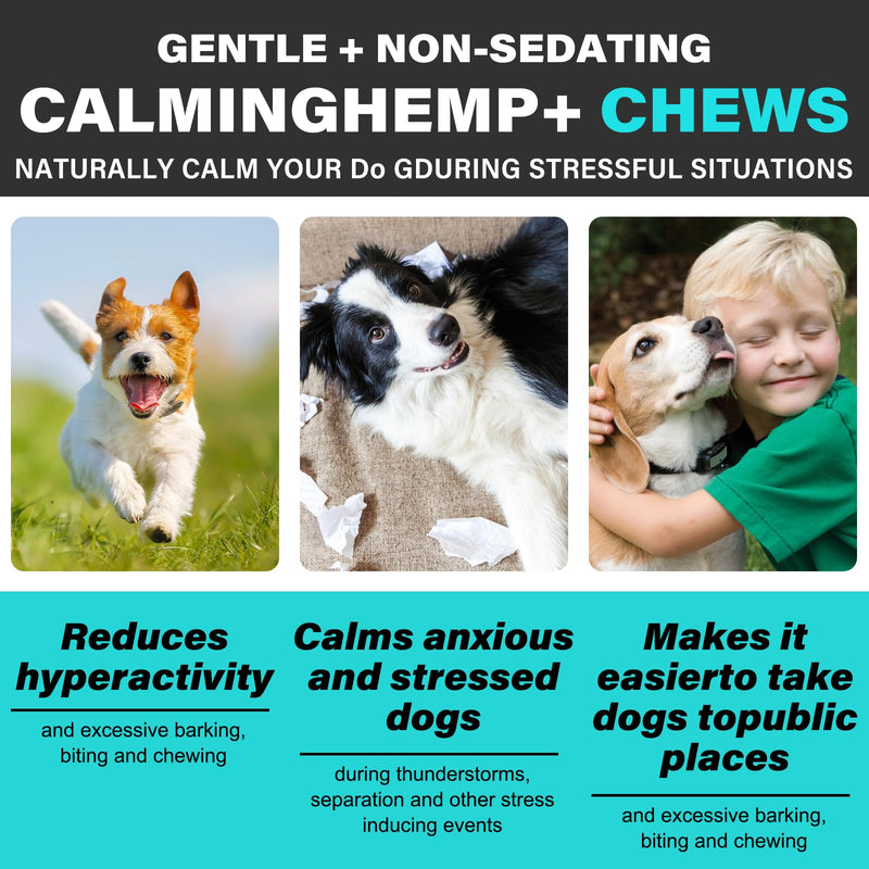 Calming Chews for Dogs with Anxiety and Stress - 60 Soft Dog Calming Treats - Storms, Barking, Separation - Valerian Root - Melatonin, Dog Anxiety Relief (Peking Duck) Peking Duck