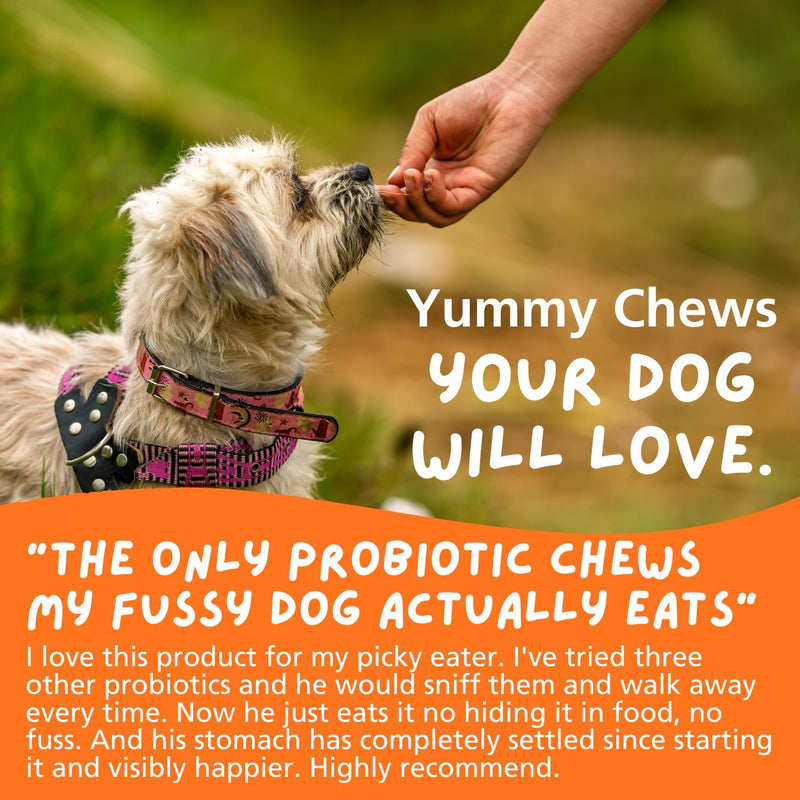 Leo's (120chews) Probiotic for Dogs chews | Natural Dog Probiotic Supplements | Pro Biotics for Gut Health Dog | Pre Pro and Post Biotic dog treats | Gut Health, Anal Glands, Grass-Eating, Itchy Ears