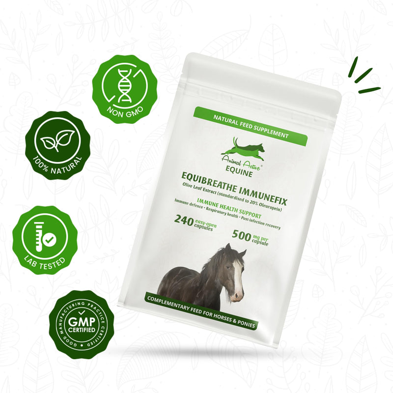 EquiBreathe Immunefix for Horses | 240 Easy-Open Capsules - 4 Months Supply | Immune Health & Respiratory Health Support, Post-Infection Recovery, Antioxidant for Horses | Made in the UK