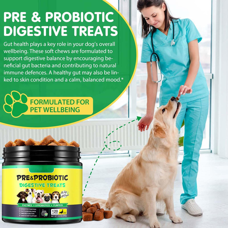 Probiotics for Dogs, Dog Probiotics Supplements (120 Chews) - Supports Gut & Digestive Health, Immune Function and Gut Flora Blance, Duck Flavor, For All Dogs 120 Count