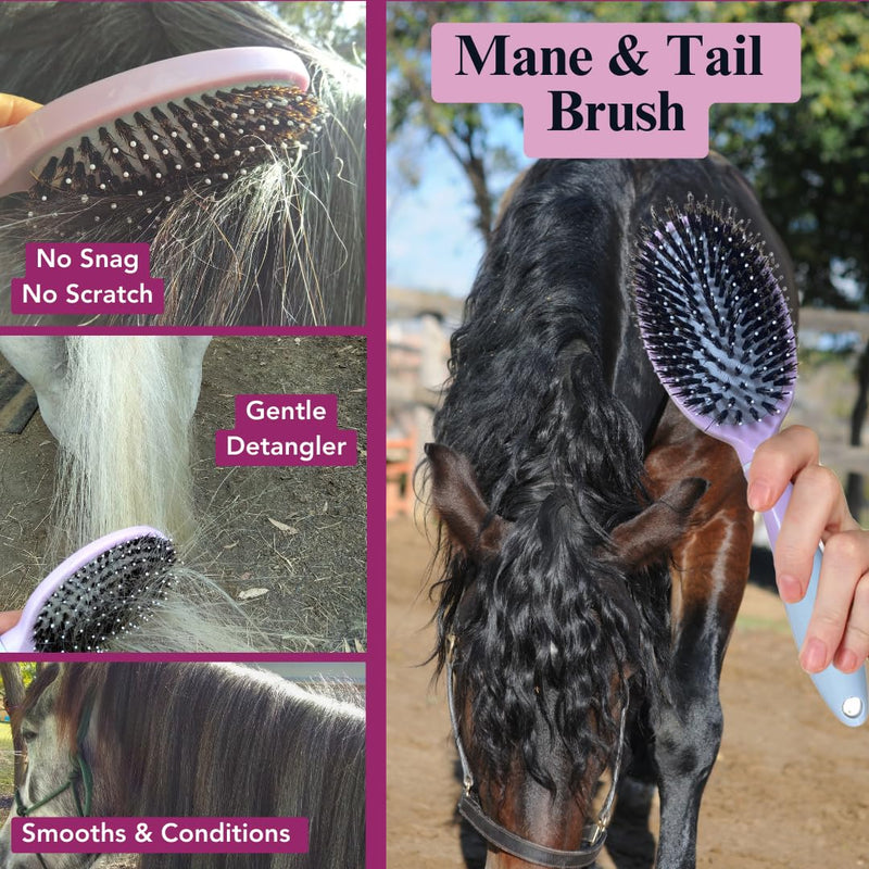 Mane & Tail Horse Brush With Multi Tasking Curry Comb - BeesActive Australia