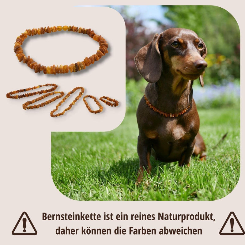 PetLove Amber Necklace Dog • 100% Baltic Amber • Collar for Dogs & Cats • Length: 35cm - BeesActive Australia