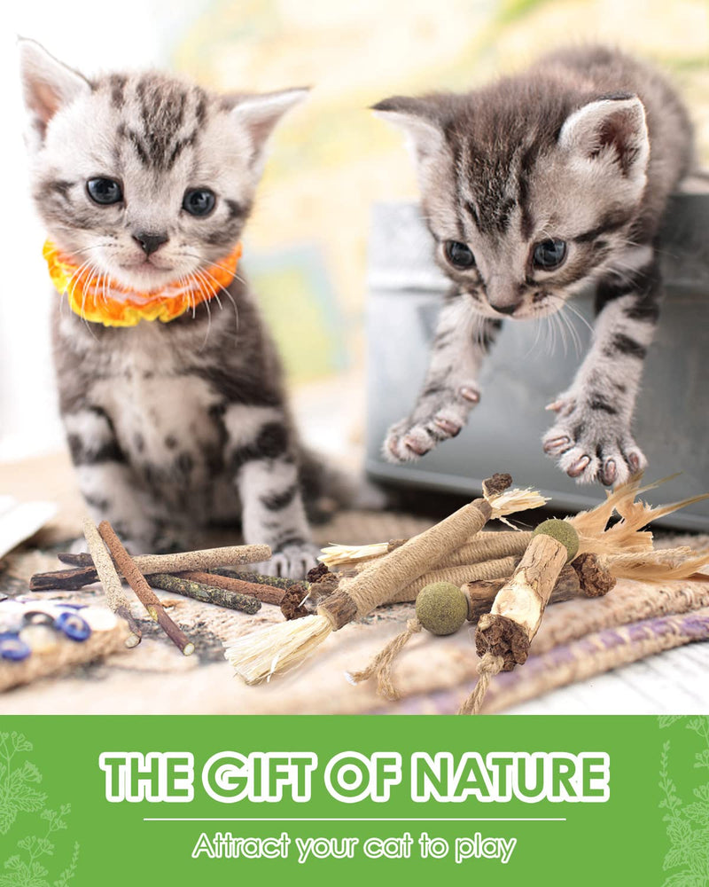 TINDTOP Catnip Chew Toys for Cats, 12 Pack Natural Silvervine Sticks for Kittens Teeth Cleaning, Matatabi Dental Care, Increase Appetite, Calm Cat Anxiety and Stress, Aggressive Chewers Cat Dental Toy - BeesActive Australia