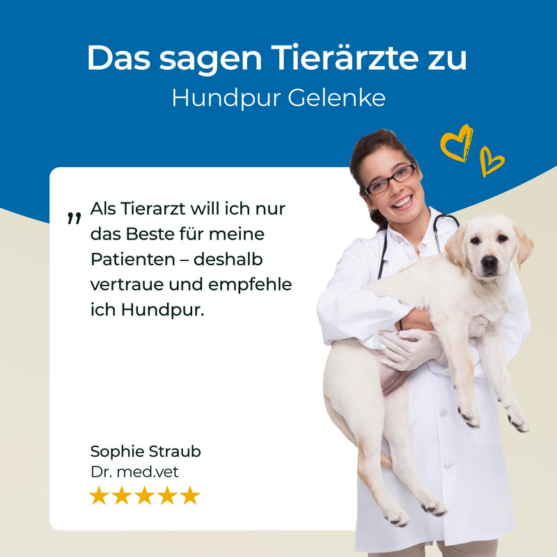 Hundpur Joints 300g - Supplementary food to support joint metabolism in osteoarthritis - With green-lipped mussel, glucosamine & MSM - BeesActive Australia