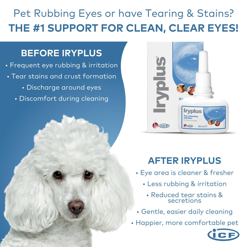 ICF | Iryplus Eye Solution for Dogs and Cats | Gentle Cleansing & Soothing Formula | Removes Secretions, Scabs & Mucus Around Eye | Chamomile | 50ml