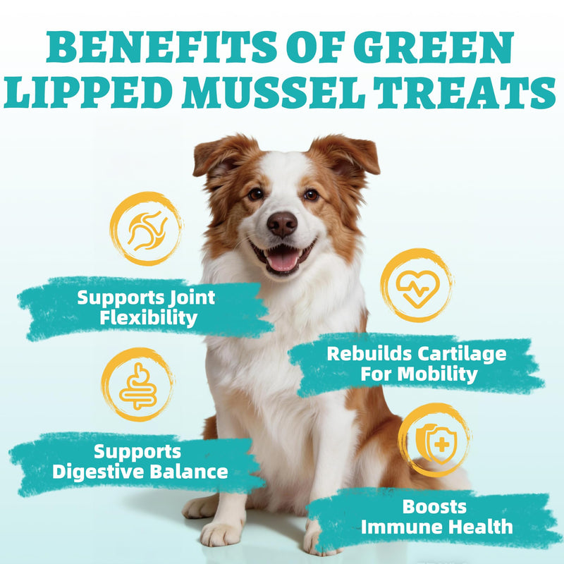 Just Try 15 OZ Green-Lipped Mussel Dog Treats Biscuits Hip & Joint Support for Dogs Training Treats Healthy Dog Treats