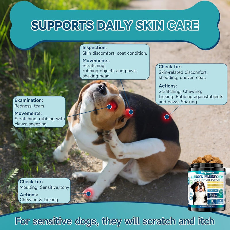 2-in-1 Dog Health Bundle: Allergy & Skin + Hip & Joint Chews (200 Each) - Glucosamine, Omega 3, Turmeric for Itch Relief & Joint Mobility, Chicken Flavor