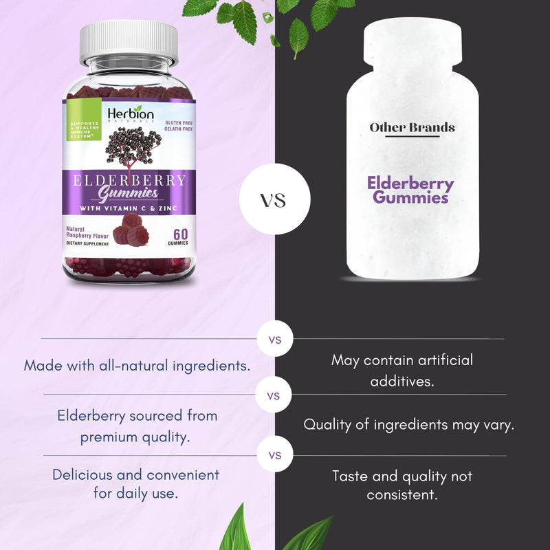 HERBION Elderberry Gummies with Vitamin C & Zinc - Healthy Immune System Support - Gluten-Free & Gelatin-Free - 60 Gummies for Adults & Children 4 Years & Above - Made in USA, 60 Count (Pack of 1) 1 Count (Pack of 1)