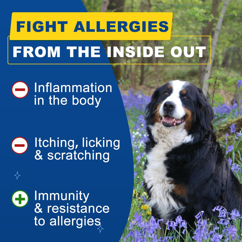 Dog Allergy Relief Chews, Itch Relief for Dogs, Colostrum, Probiotics for Dogs Support Immunity, Omega 3, Honey for Dry & Itchy Skin Relief, Seasonal Allergy, Pawlicking, Hot Spot Treatment, 120 Bites 120 Counts - PawsPlanet Australia