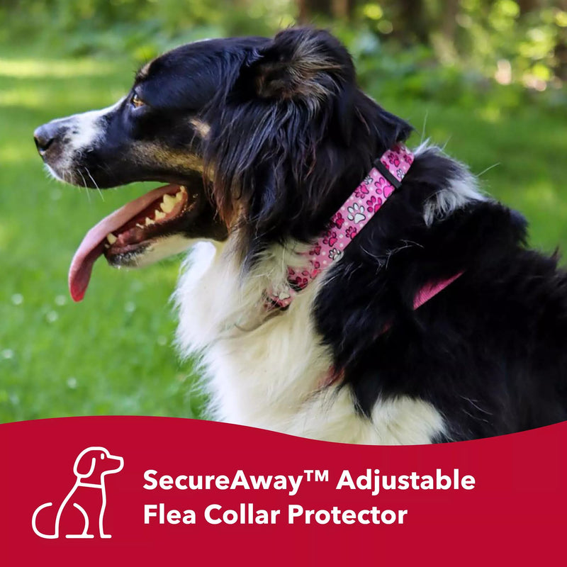 Coastal Pet SecureAway Collar Protector for Flea Collars - Adjustable pet Accessory - Protective Flea Collar for Dogs & Puppy - Black, 5/8" x 10-14"