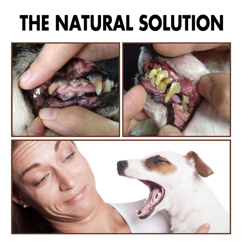 Dog Dental Care Spray, Cleaning Spray for Dogs Teeth, Dog Oral Care Teeth Cleaning with Propolis & Chamomile to Freshen Breath, Reduce Plaque, Support Clean & Teeth Promote Healthy Gums - 30ml