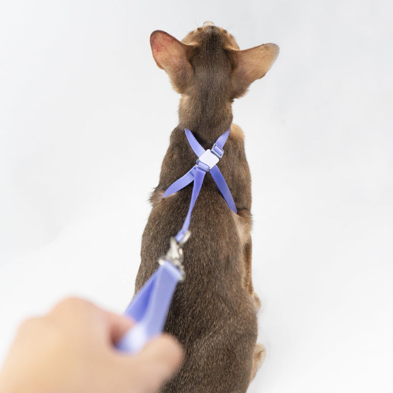Cat Harness and Leash Set - U.S. IDA Bronze Awarding Design, Escape Proof and Anti-Chocking, for Walking and Training, Lighweight for Kitten and Small Large Cat and Puppy(Linen) Linen - BeesActive Australia