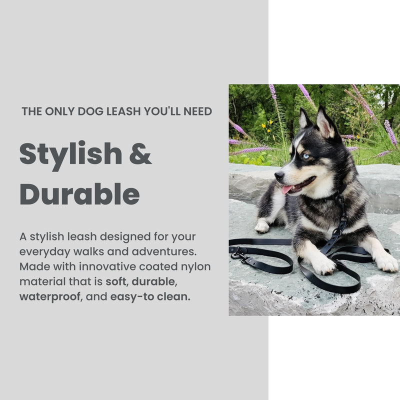 Hands-Free Waterproof Dog Leash, Adjustable Waist & Crossbody Dog Leash for Running, Walking & Hiking (Black, 8 FT) Black - BeesActive Australia