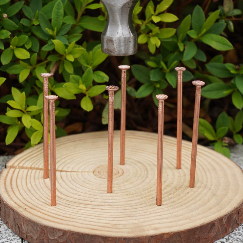 BHTOP 3.5 Inch Copper Nails Pack of 24 - Pure Copper Nail, Solid Reliable Used for Trees, Stumps, Landscaping, and Hobbies - BeesActive Australia