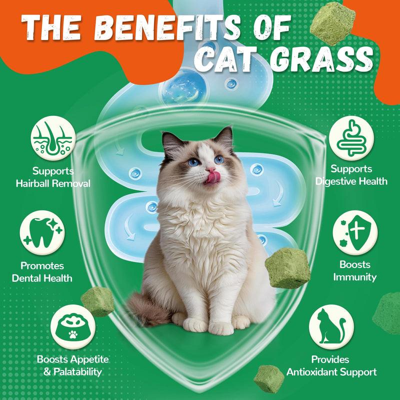 Cat Grass Treats for Indoor Cats, 60g Freeze-Dried Cat Teeth Cleaning Treats - Feline Grass Treаts for Hairball Control and Digestive Support with Probiotics & Prebiotics, Chicken Flavor