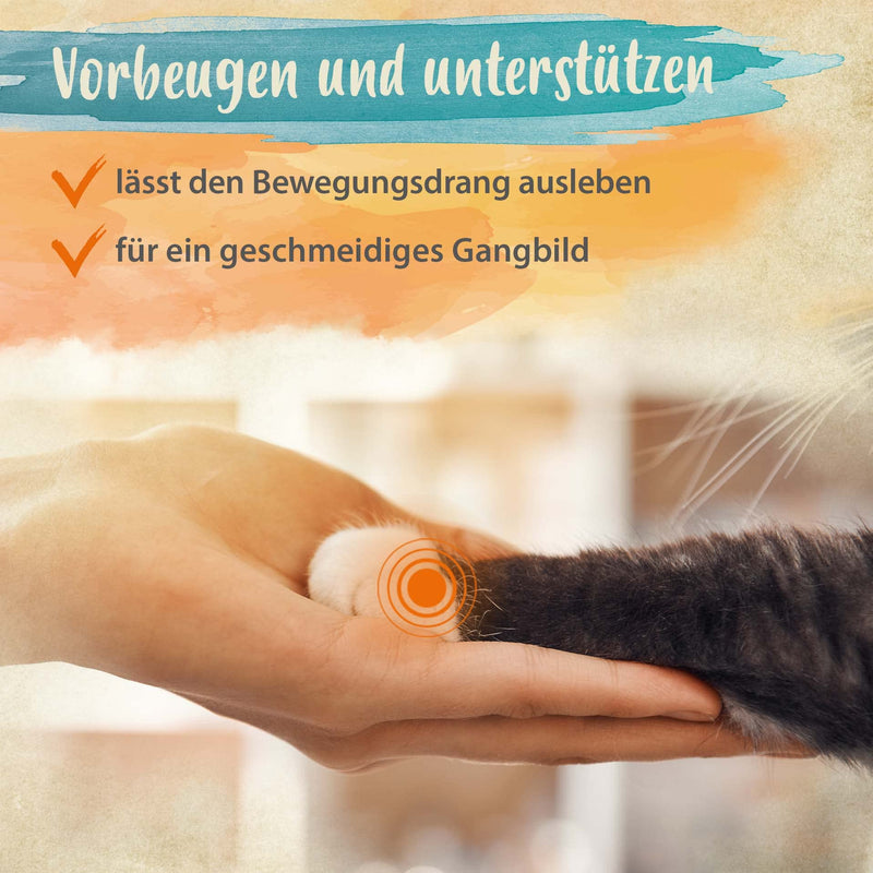 Ida Plus - 100% green-lipped mussel powder for cats - 100 g - green-lipped mussel to support joint function - full fat quality - without additives - with glycosaminoglycans, Omega 3, calcium, magnesium - BeesActive Australia