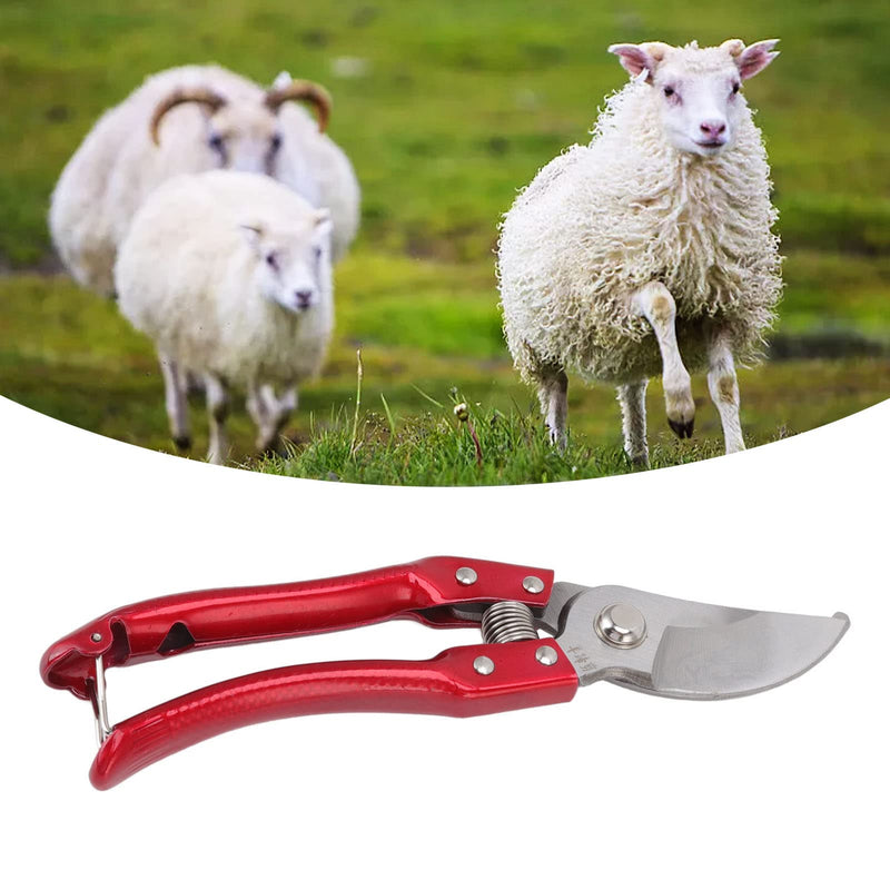 Sheep Hoof Shears Goat Hoof Trimmers Pig Trotter Shears Pliers Animal Toe Nails Trimming Repairing Tool (Red) Red - BeesActive Australia