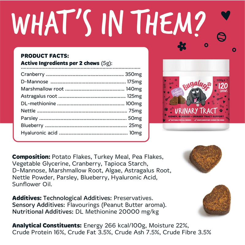 Bugalugs Urinary Tract Dog Chews helps stop dogs urinating in house & dog incontinence. supports UTI, Bladder & Kidney with Cranberry, D-Mannose & Marshmallow root. Grain free dog treats -120 chews