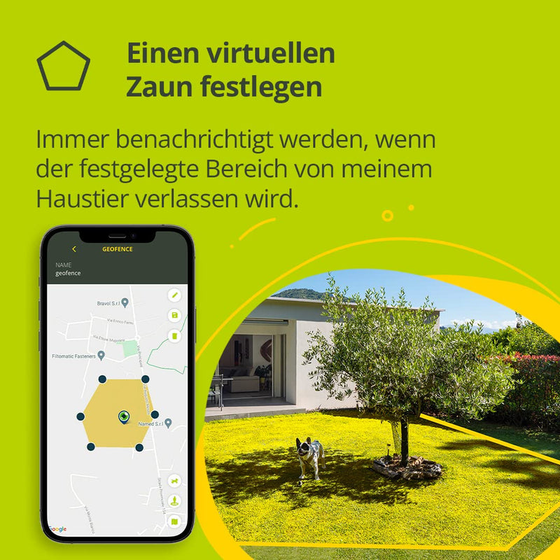 Kippy EVO GPS Dog Finder for Dogs, Water Resistant, Surround Tracking, GPS for Dogs with Dog Activity Notifications, Dedicated App, Green - BeesActive Australia