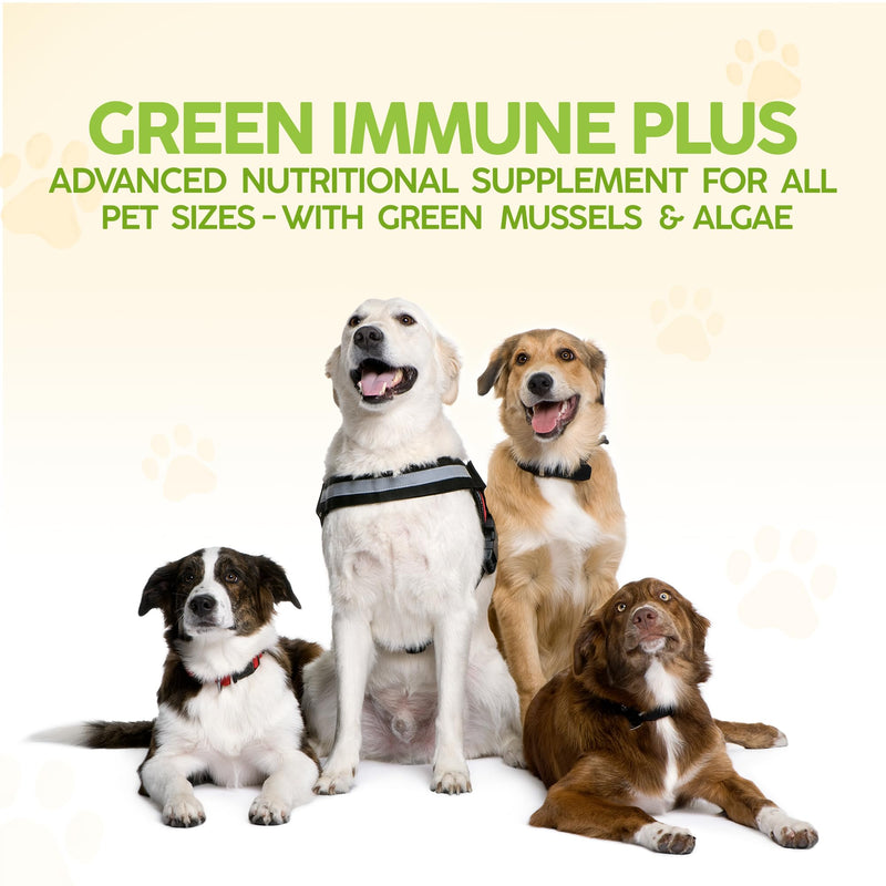 King Kanine Green Inmune Plus Multivitamin and Mineral 6 oz | Organic Powder to Improve Join Mobility & Allergy Relief | Inflammatory Supplement for Dogs Care | Veterinarian Approved - PawsPlanet Australia