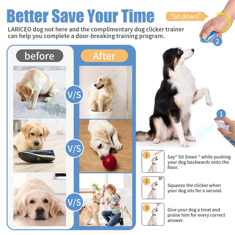 8 oz Spray - Safe and Non-Toxic Formula for Training - Stop Unwanted Peeing - Achieve Effective Dog Training - Not Here Dog Spray - BeesActive Australia