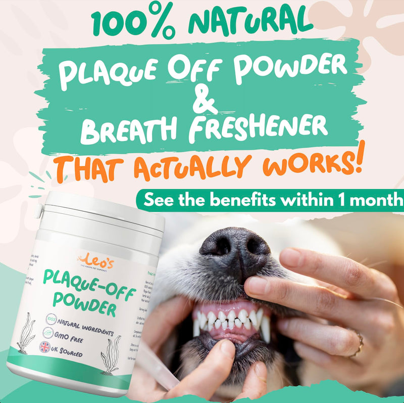 Leo's Plaque Off Powder For Dogs & Cats | 200g | Pet Teeth Cleaning | Cat & Dog Breath Freshener Food Topper | 100% Natural | No Dog Toothbrush or Dog Toothpaste | Plaque Remover For Dogs & Cats 1 Pack