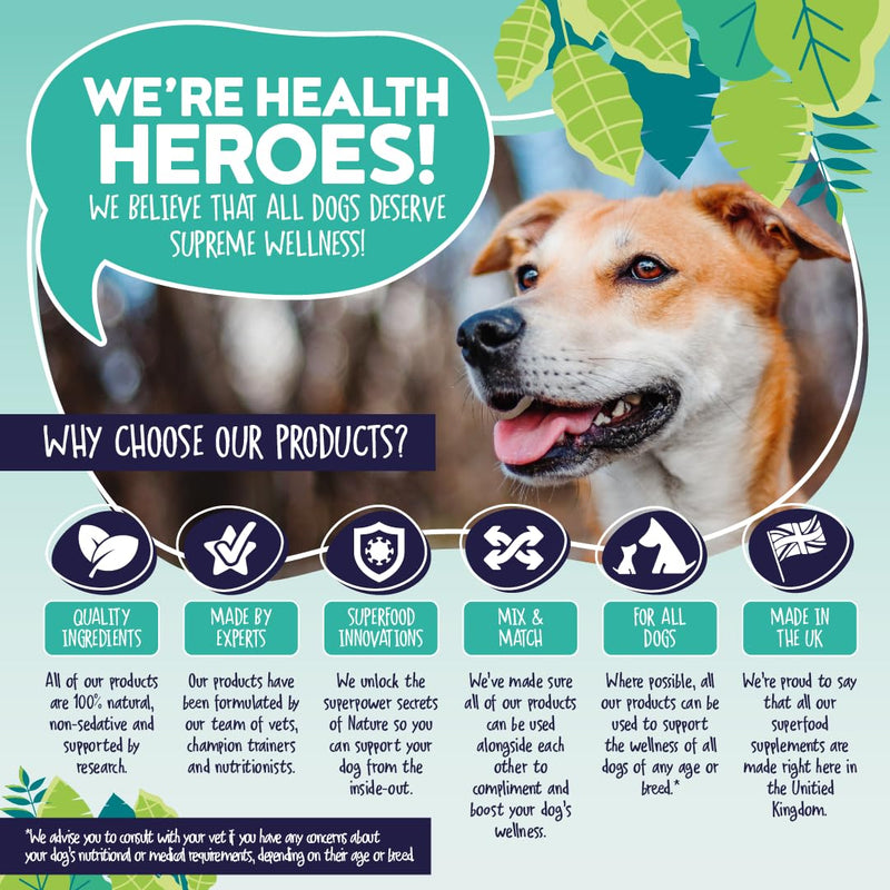 Plaque-K9 | Dental Care Supplement for Dogs | Removes Plaque, Bad Breath & Tartar | Support Oral Hygiene | Natural Ingredients & Superfoods | Mix with Dog or Puppy Food | Absolute Dogs 1 pouch