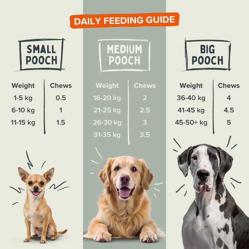 Joints & Mobility Soft Chew Dog Supplements - Daily Care for Hips, Joints and Mobility with Glucosamine, Phytodroitin, MSM, Vitamin C, Omega 3 EPA & DHA – 60 Soft Chews 60 Chews