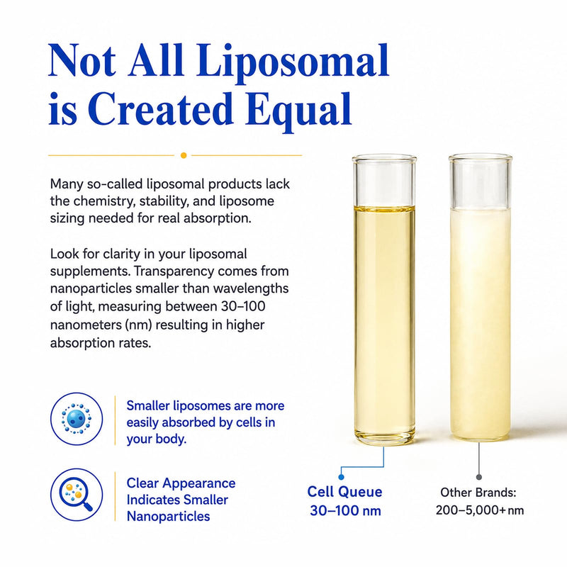 Liposomal Methyl B Complex Liquid - Active B Vitamin Formula with Methyl B12, Folate, TMG & Milk Thistle, Supports Energy, Mood, Cognition, Nervous System & Liver Function, 50 ml 1