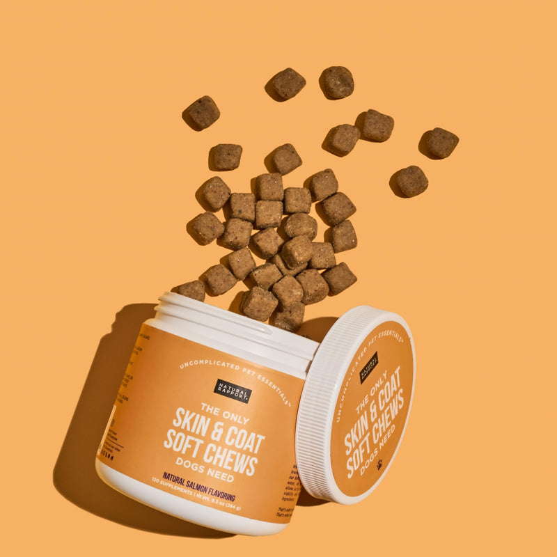 Natural Rapport Dog Skin and Coat Supplement - The Only Skin and Coat Soft Chews Dogs Need - 120ct Treats that Contain Salmon Oil and Omegas 3, 6, & 9 Skin Health Chew