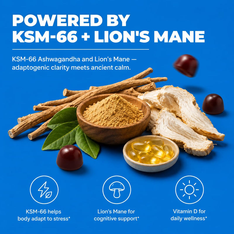 Ashwagandha KSM 66 Lions Mane Gummies 60 Count | Vitamin D, lemon balm and ginger, vegan, non GMO, gluten free, Kosher certified, mixed berry flavor, 30 day supply 60 Count (Pack of 1)