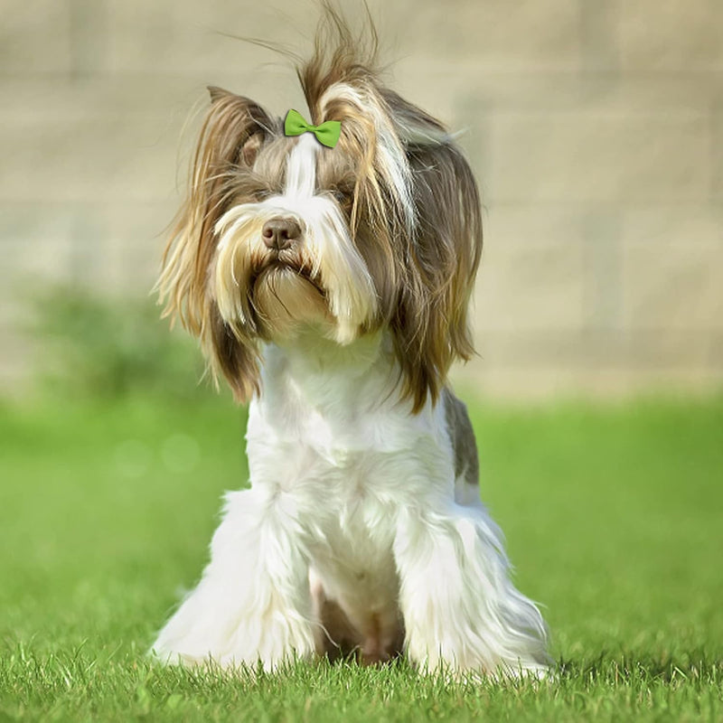 40PCS Puppy Dogs Hair Barrettes Bows with Rubber Bands,Hair Accessories Bow Pet Grooming Cute Pet Small Hair Bowkno (Style A-40pcs) Style A-40pcs - BeesActive Australia