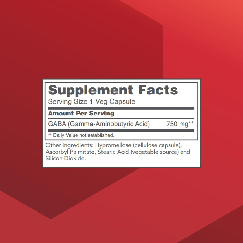 PROTOCOL FOR LIFE BALANCE GABA 750mg, Brain Support*, 120 Veg Caps | Amino Acids Supplement*, brain Supplement*, GABA Formulation, Gluten-Free, Kosher, Dairy-Free, and Non-GMO