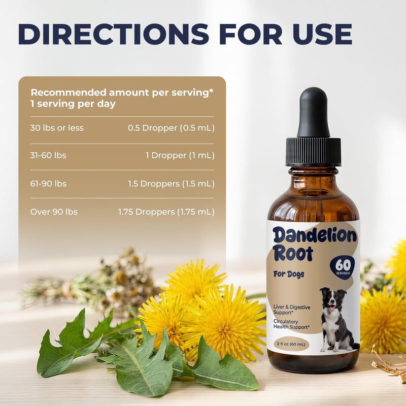 Dandelion Root Drops for Dogs – Herbal Liver Support & Digestive Support for Dogs, Supports Metabolic Balance & Daily Vitality, Liquid Dog Supplement, Gentle Daily Wellness Drops, 2 fl oz (60 mL)