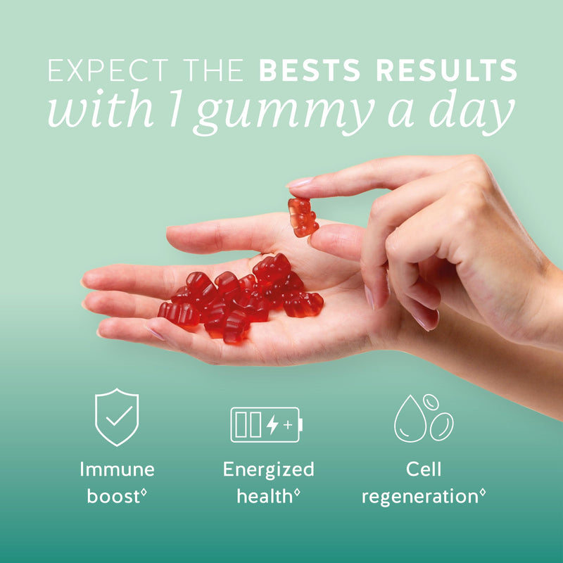 Bears with Benefits Immune Support Gummies with Vitamins C, D, B6 & Zinc | One gummy a day with 9 essential vitamins. Delicious lemon flavor in a vegan formula to support your daily immune health. 1 Count (Pack of 30)