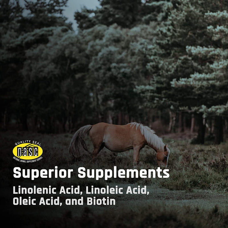 Majesty's Omega Wafers - Superior Horse / Equine Skin, Coat, and Immune Support Supplement - Omega 3, 6, 9, and Biotin - 30 Count (1 Month Supply) - BeesActive Australia